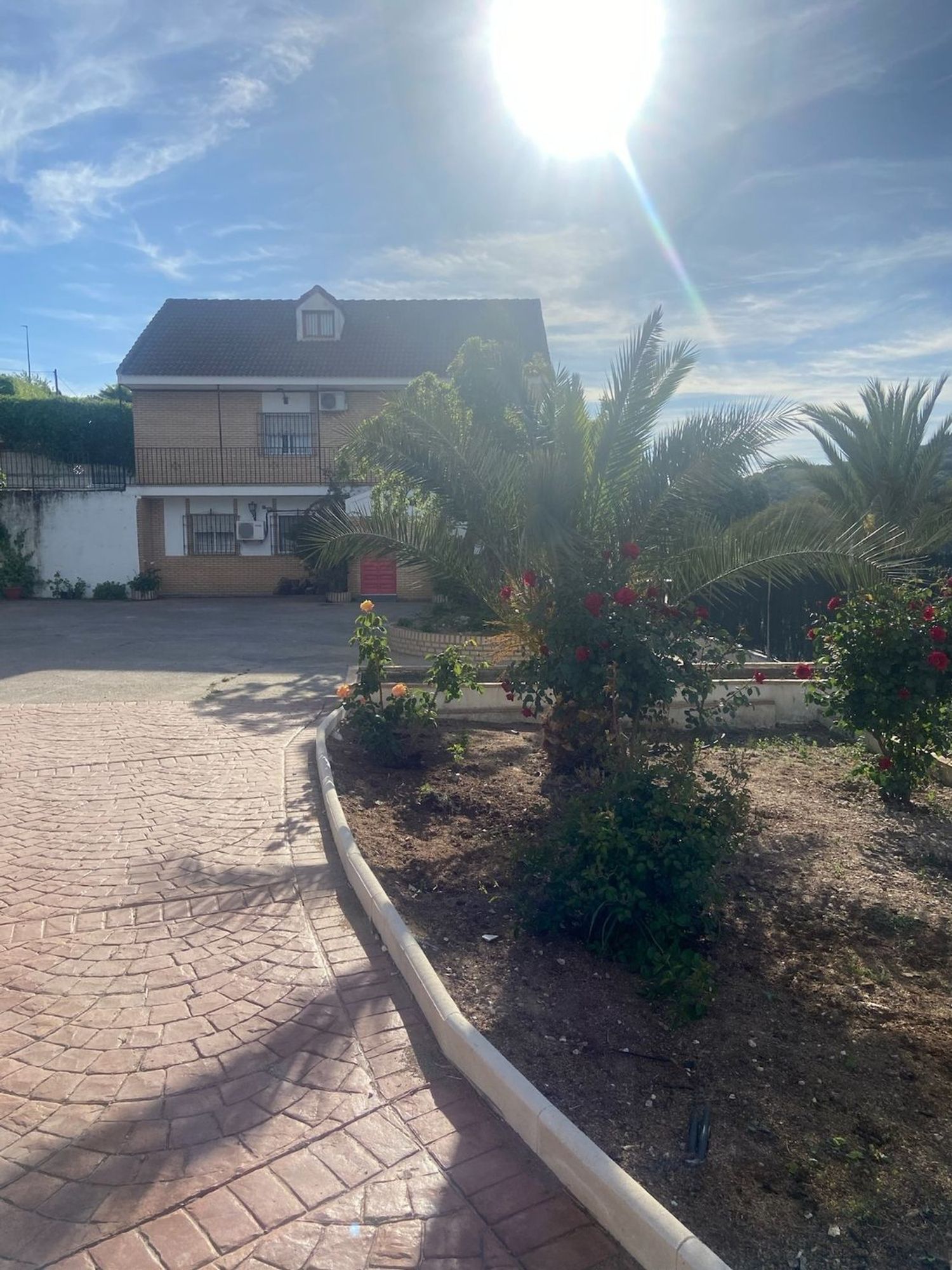 Casa o chalet independiente en Calle Tamarindo, 31, Alcolea - Foto 15