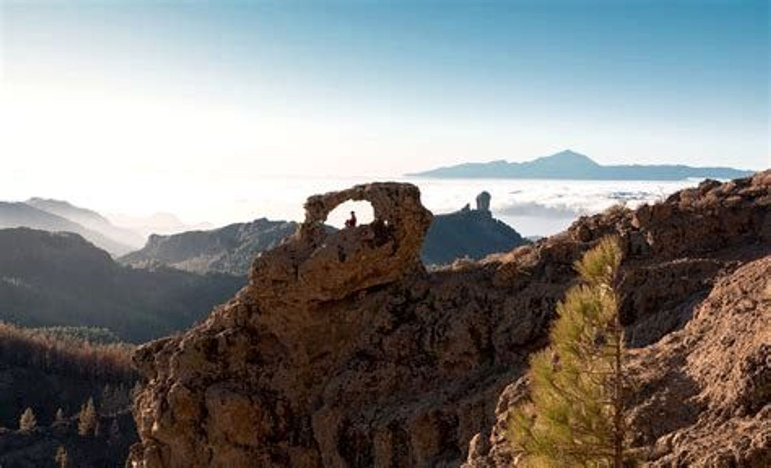 Piso en calle Pintor Juan Guillermo, 10 - Foto 36