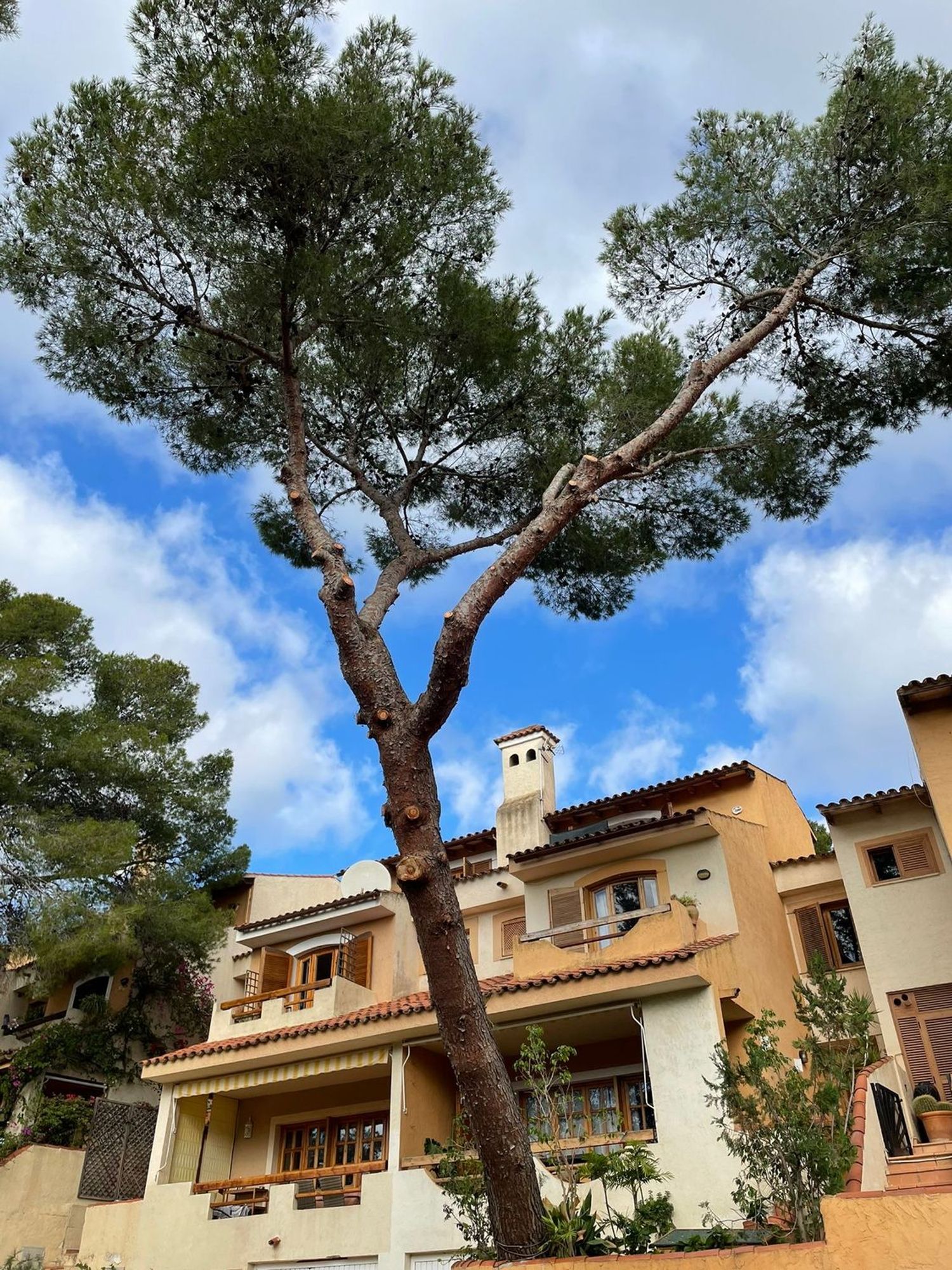 Chalet adosado en Calle Bell Puig, 41 por arr, Cas Catala, Cas Catala - Foto 3