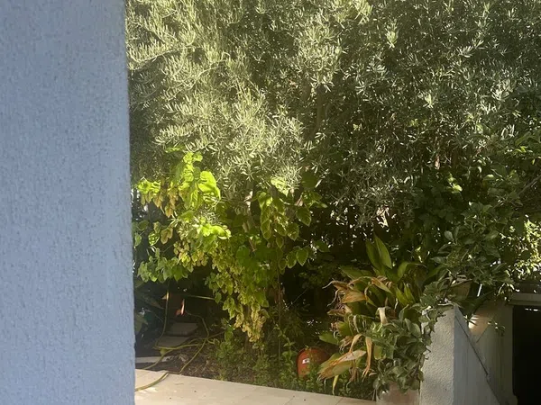 Casa o chalet independiente en Avenida de Majadahonda, 27, Zona Pueblo - Foto 12