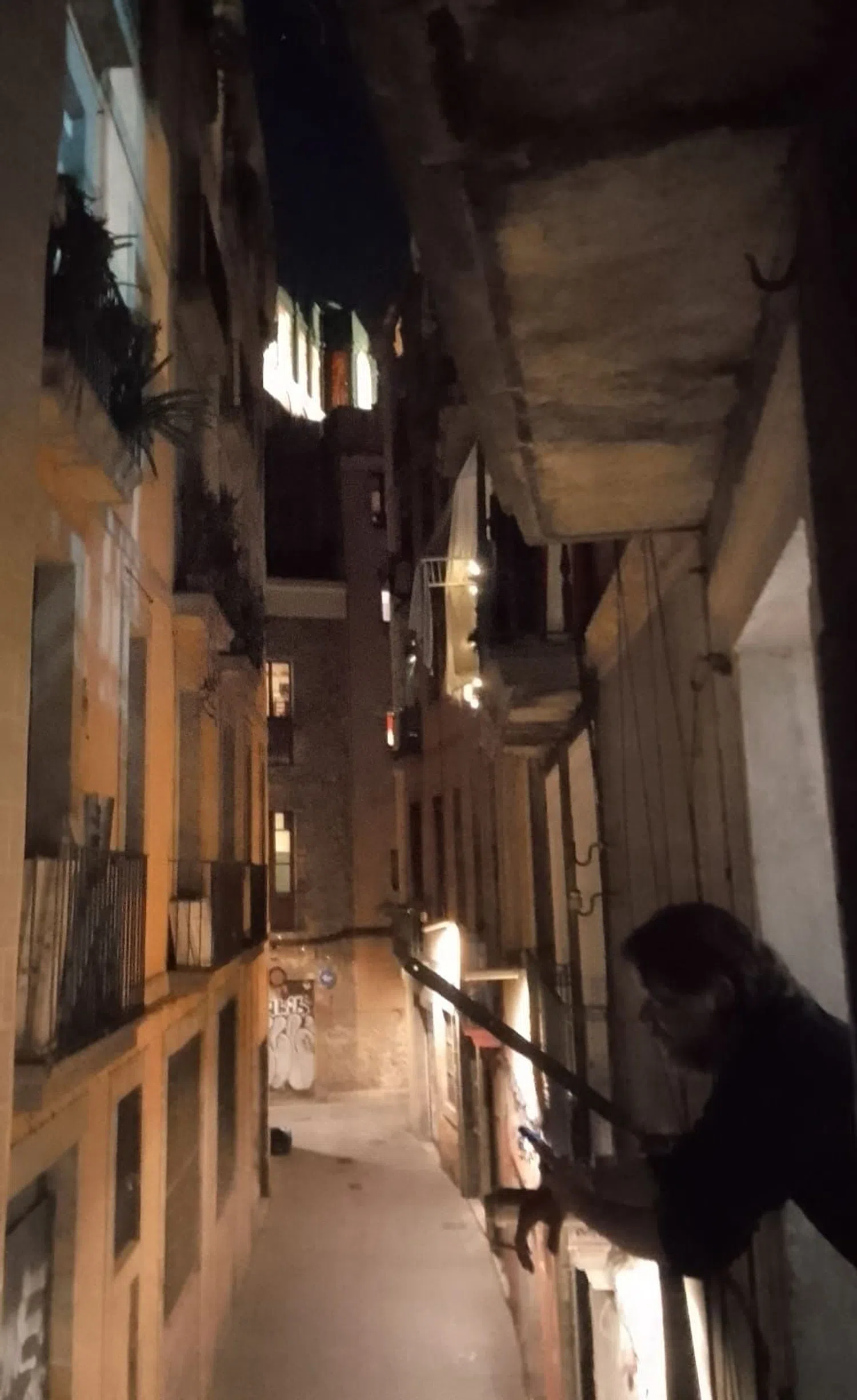 Piso en calle de Sant Silvestre, 3 - Foto 2