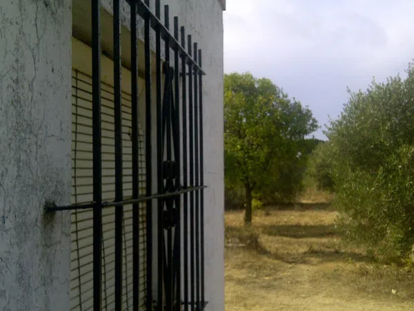 Casa independiente en camino de Melilla s/n - Foto 23