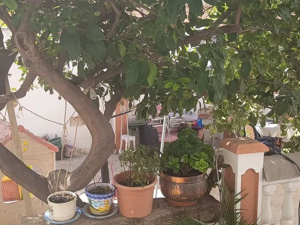 Casa o chalet independiente en Calle la Maltesa, 60, Fuente Alegre - El Chaparral - Los Morales - Foto 26