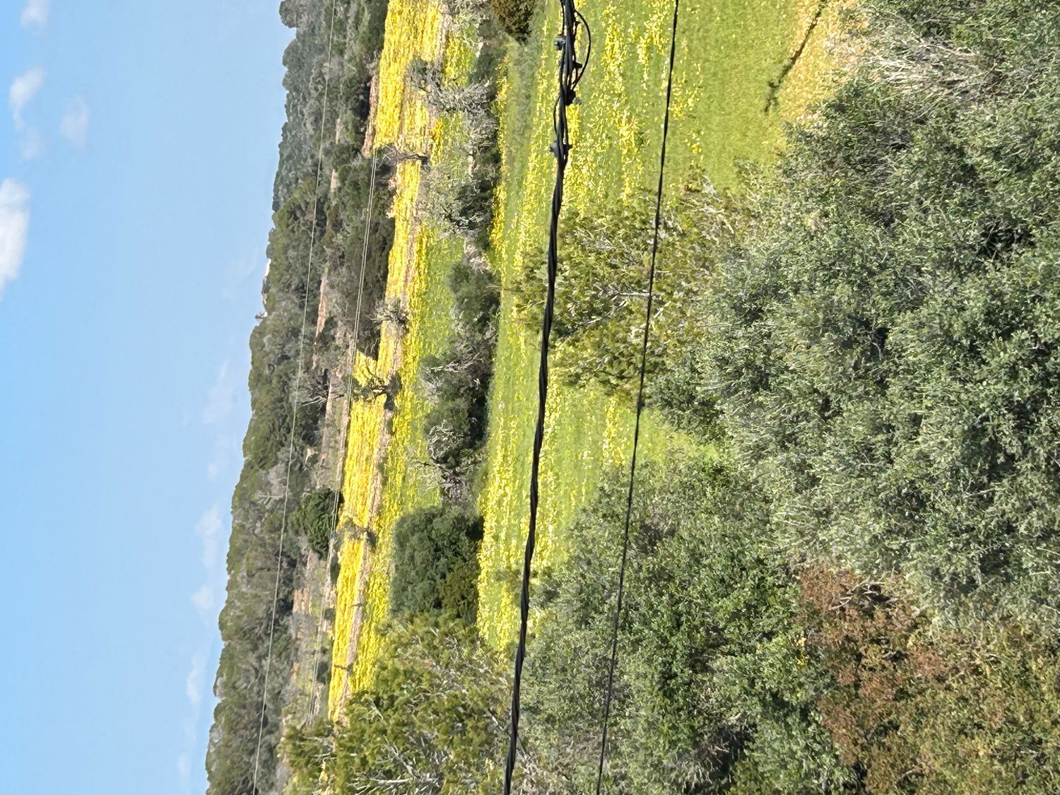 Chalet pareado en calle Falla, 2 a - Foto 34