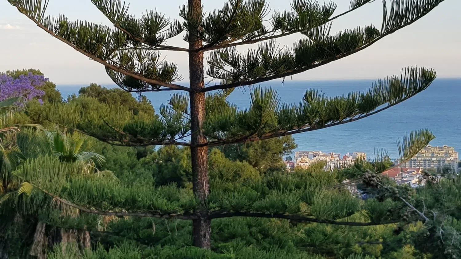 Casa independiente en calle Tulipanes, 6 - Foto 24