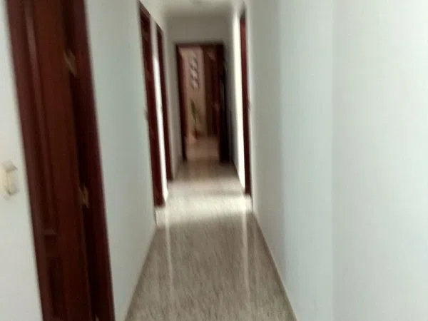 Piso en Avenida la Constitución, 2 - Foto 4