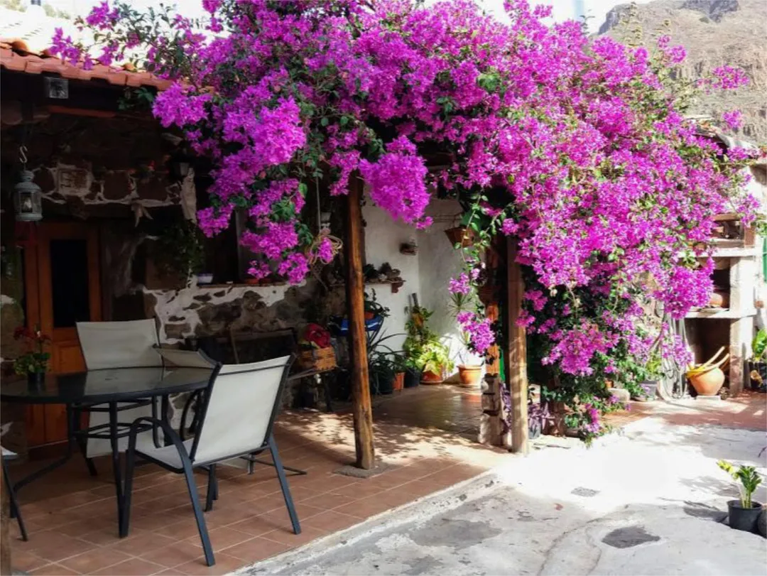 Finca rústica en calle Calle Espíritu Santo 15 - Foto 28