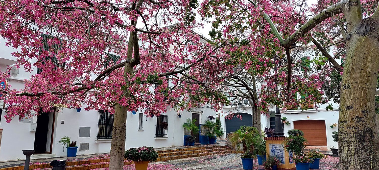 Chalet adosado en pozo Prado, 7 - Foto 9