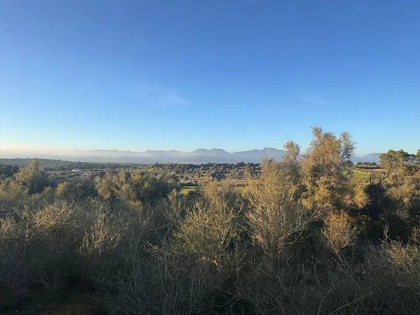 Finca rústica en Camino CamÍ de Son Bernat s/n - Foto 7