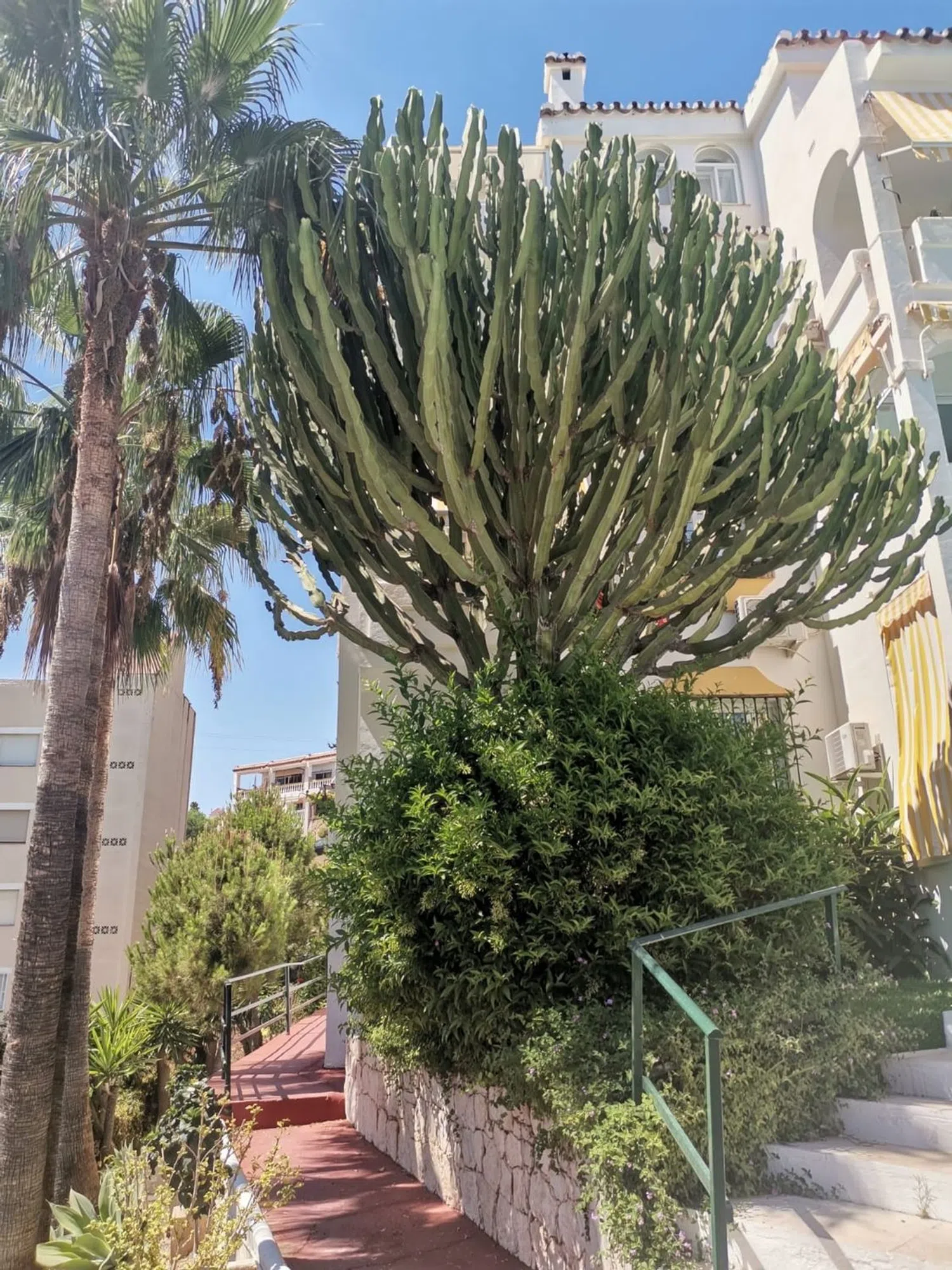 Piso en calle del Ficus, 3 - Foto 20