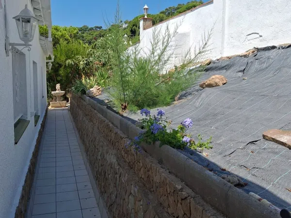 Casa o chalet independiente en Calle del Fonoll, 11, Serra Brava, Serra Brava - Foto 26