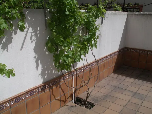 Chalet adosado en Calle Alcalde Francisco Paniagua, 22 - Foto 3