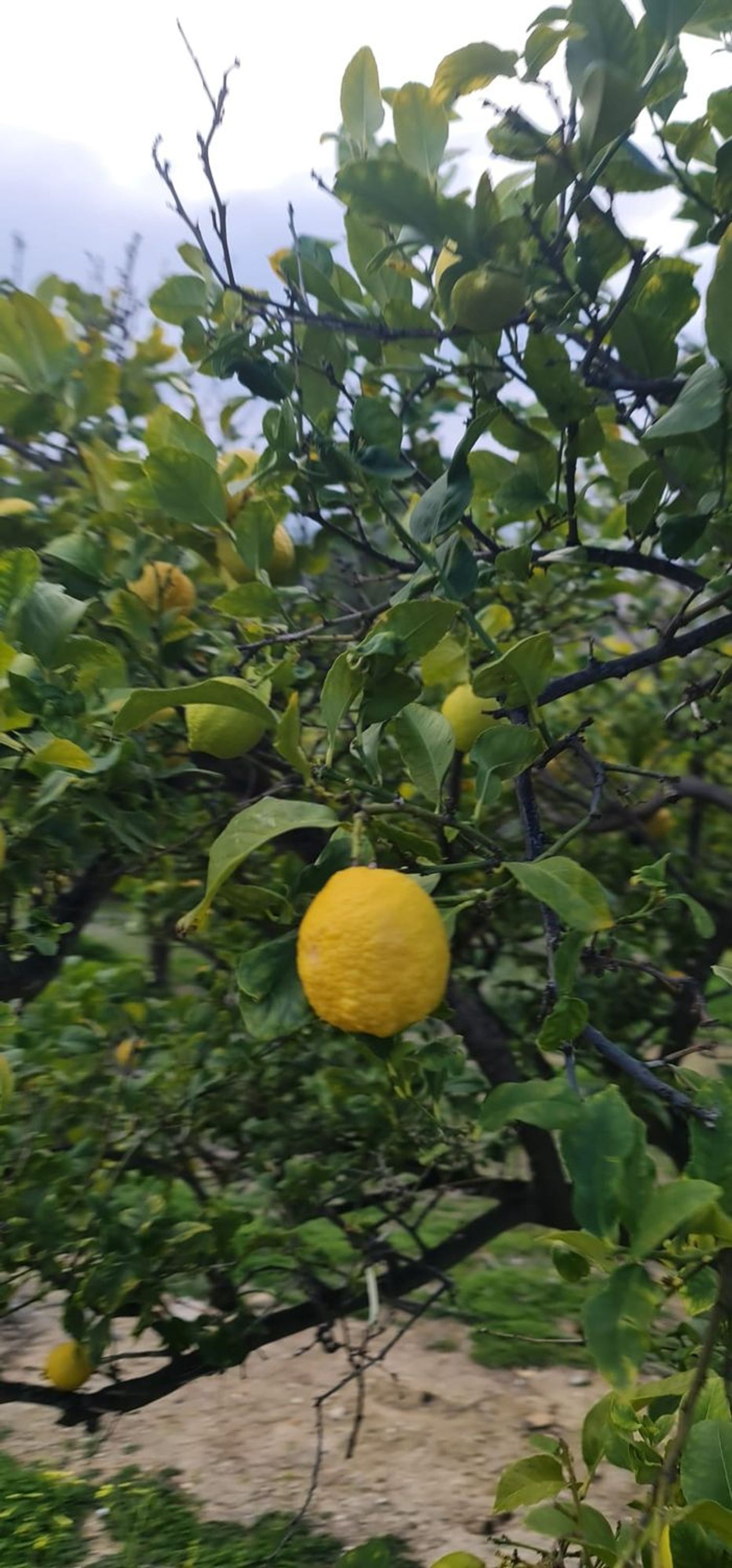 Piso en avenida d'Europa, 51 - Foto 3