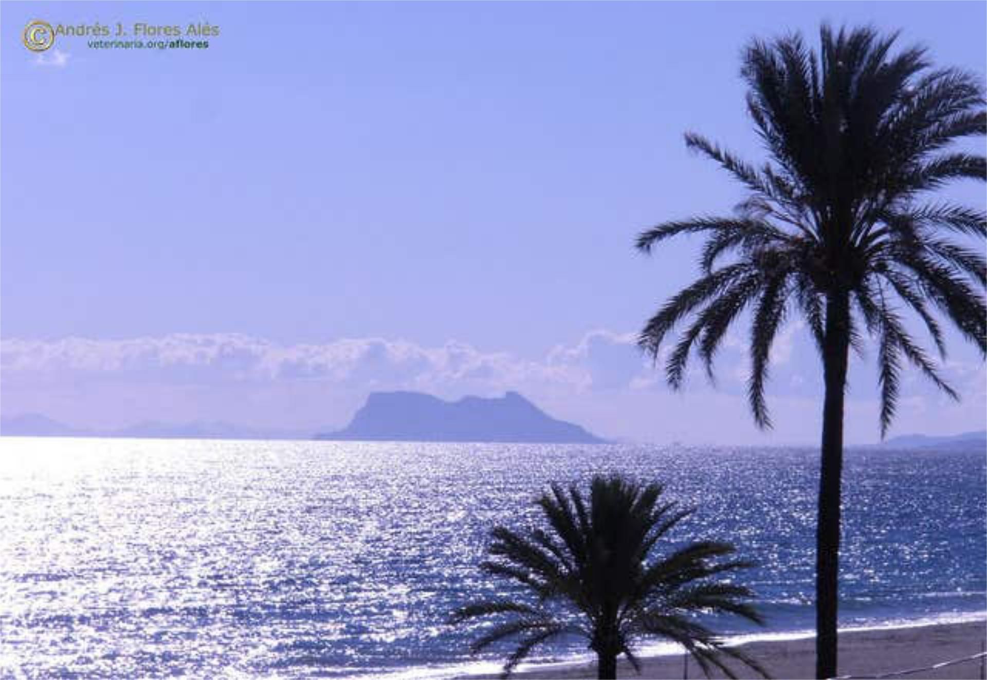 Apartamento en Nueva Andalucía - Foto 3