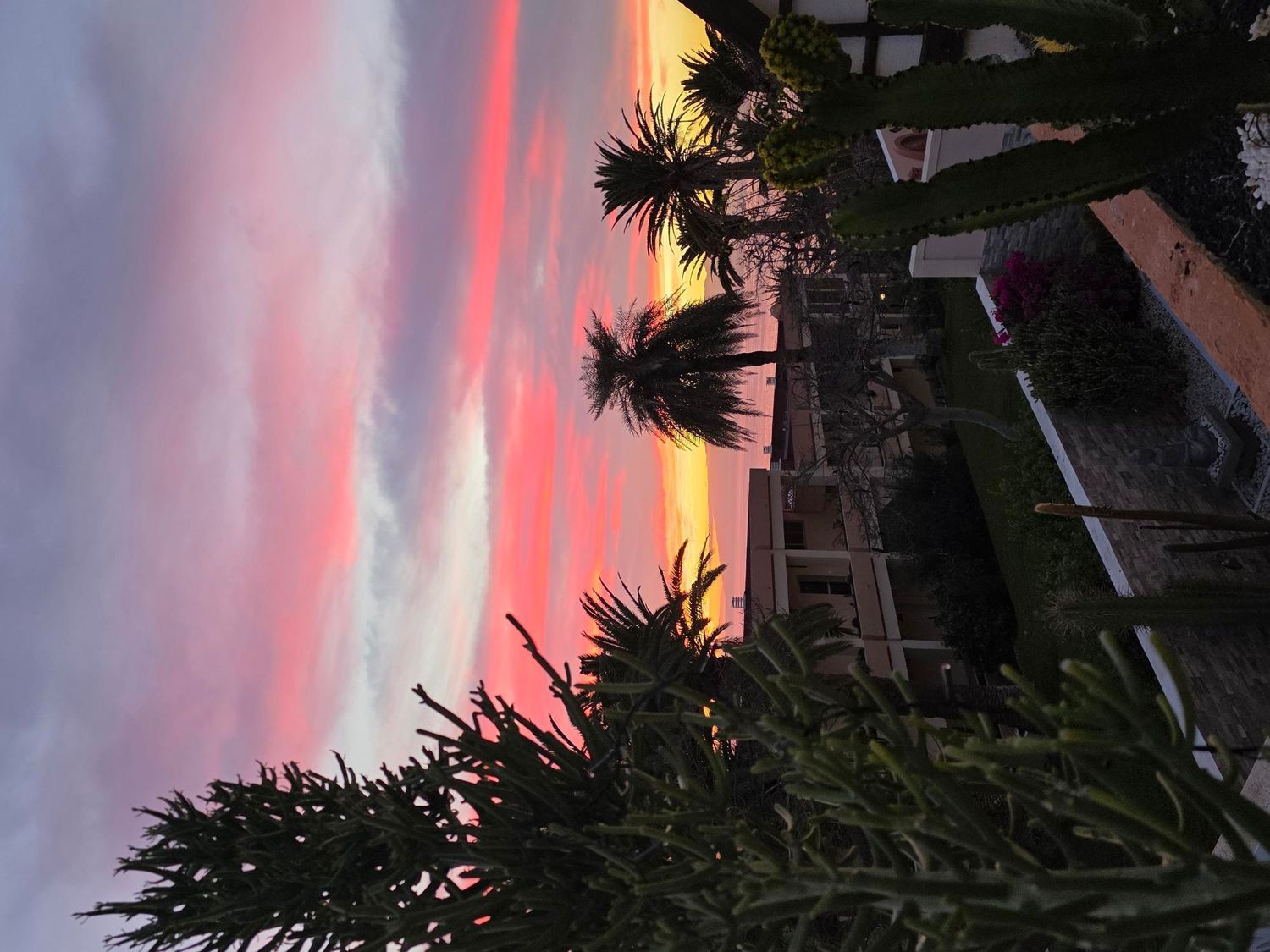 Piso en calle Marazul, 1 - Foto 4