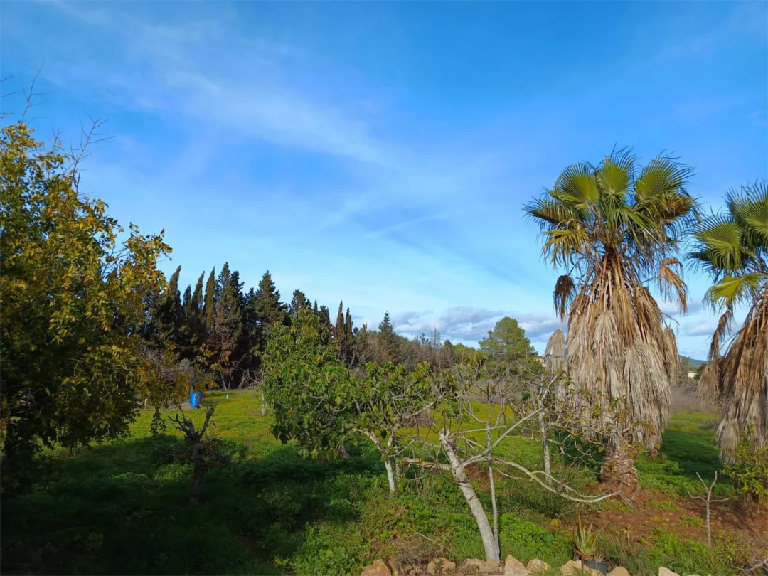 Finca rústica en  Camí Vell de Cala Pi 41 - Foto 11