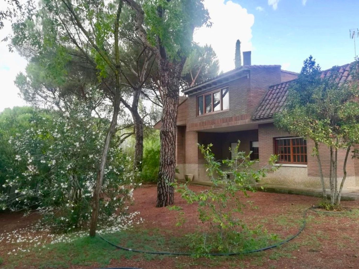 Casa o chalet independiente en Calle Arévalo, 75 - Foto 14