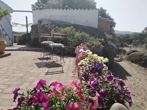 Casa o chalet independiente en Camino de Ayuela s/n - Foto 34