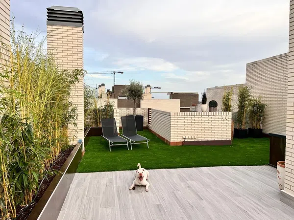 Dúplex en Calle Vista Alegre, 1, Somosaguas - Foto 5