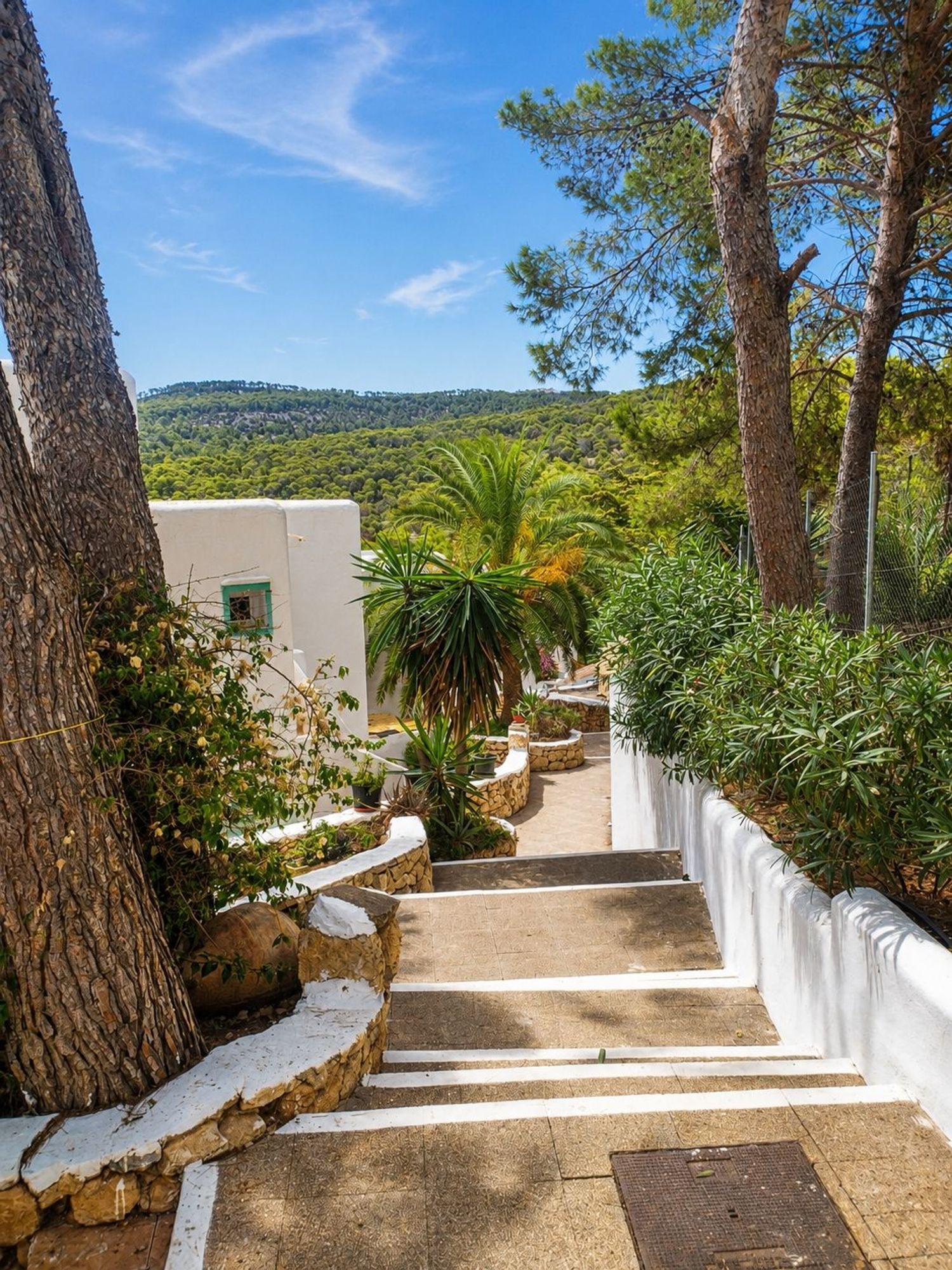 Estudio en Calle Calvià, 35, Cala Vedella - Cala Tarida - Cala Conta, Cala Vedella - Cala Tarida - Cala Conta - Foto 17