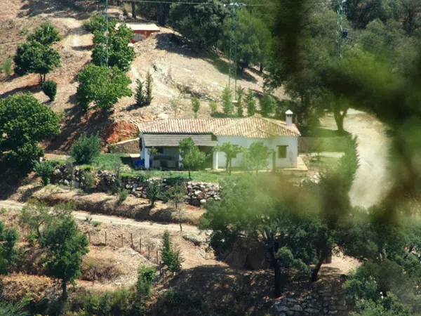 Finca rústica en Ma-8301 s/n - Foto 5