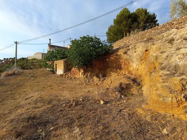 Finca rústica en Calle Proyecto Número 3 s/n - Foto 2