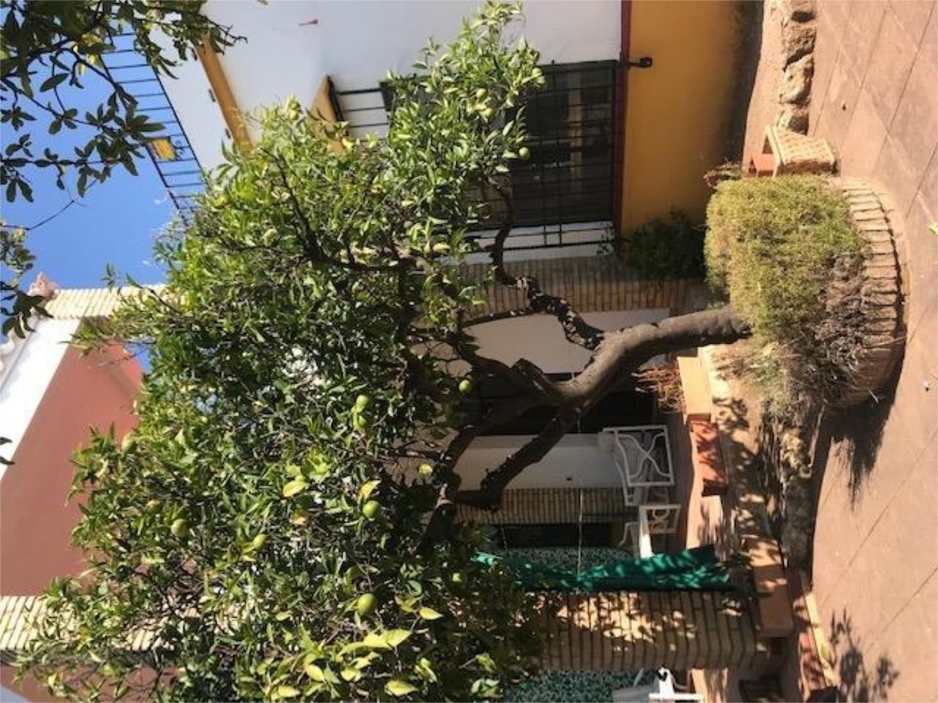 Casa adosada en Brillante - Foto 8