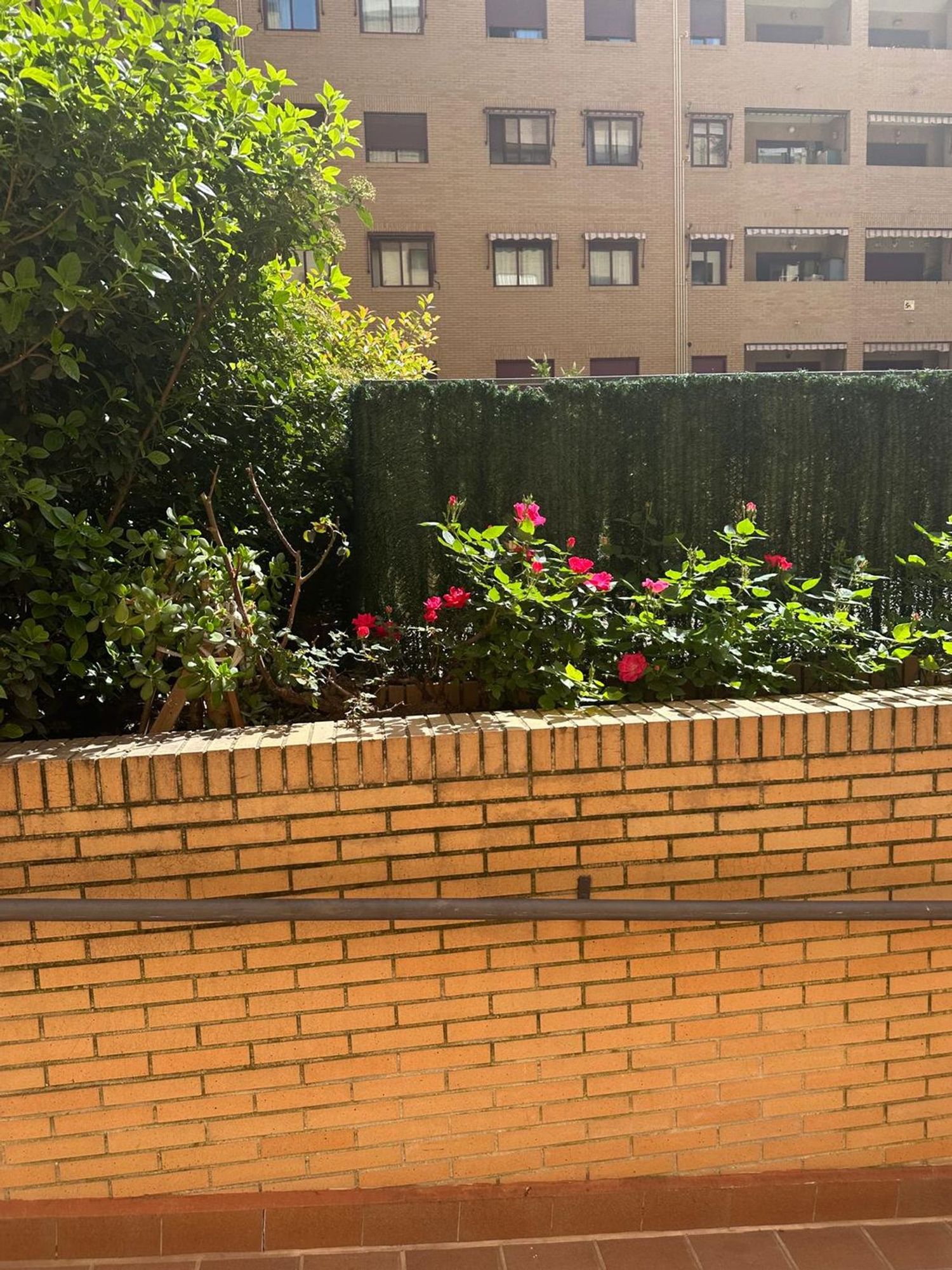 Piso en calle de las Delicias, 28 - Foto 6