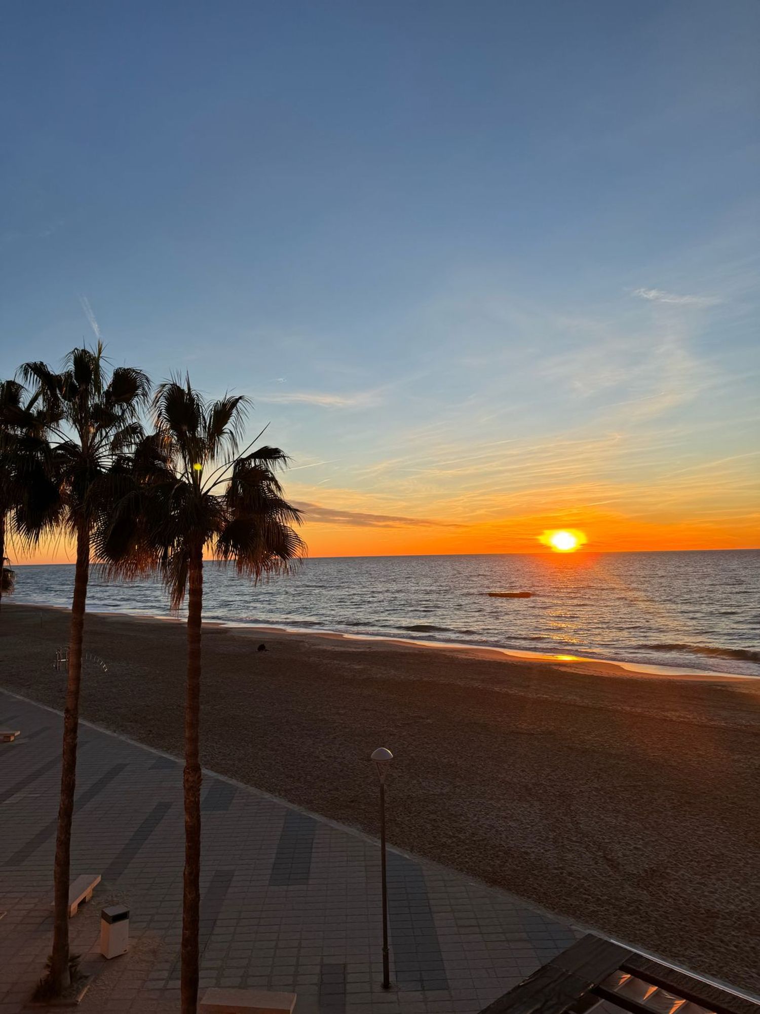 Estudio en Paseo de Colom, 6, Barri Marítim-Platja de la Paella, Barri Marítim-Platja de la Paella - Foto 11