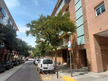 Piso en  Carrer Llorenç Villalonga 8 - Foto 25