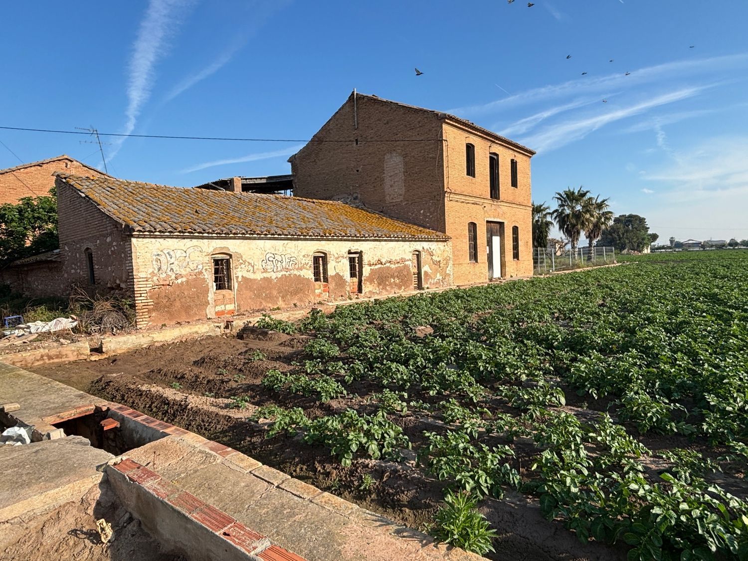 Finca rústica en Camino Masamarda, 41 - Foto 2
