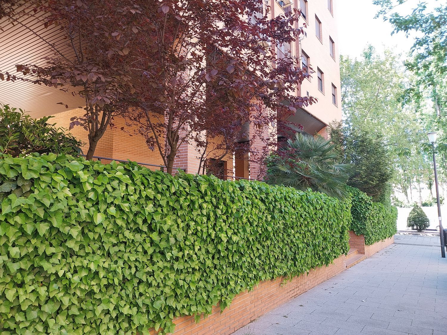 Piso en calle de la Escarcha, 5 - Foto 15