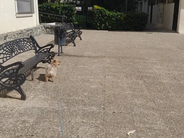 Piso en plaza del Caballo, 1 - Foto 36