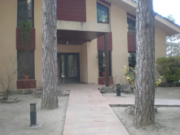Piso en Calle Pinar, 2, Abantos - Carmelitas, Abantos - Carmelitas - Foto 37