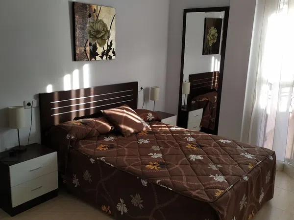 Estudio en Calle los Olivos, 5 - Foto 19