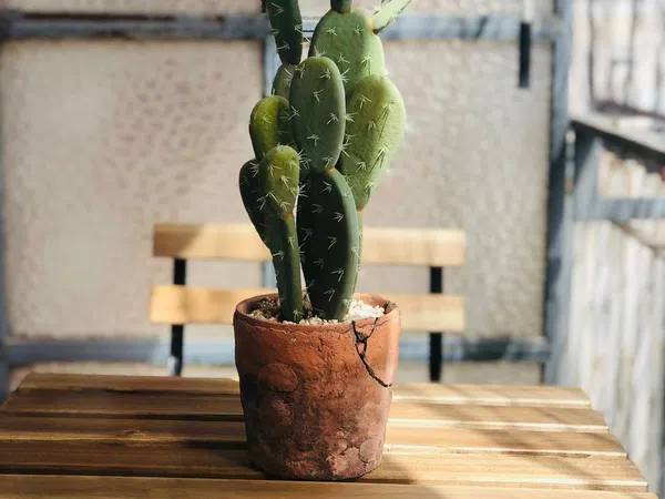 Piso en paseo Marqués de Corvera, 26 - Foto 22