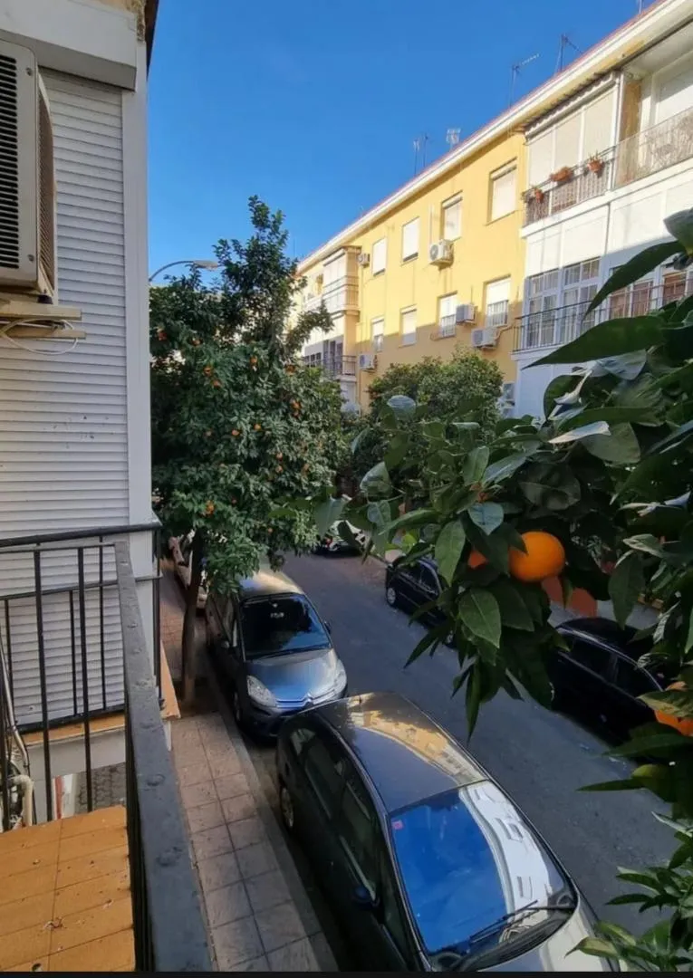 Piso en  Calle Padre Isla 10