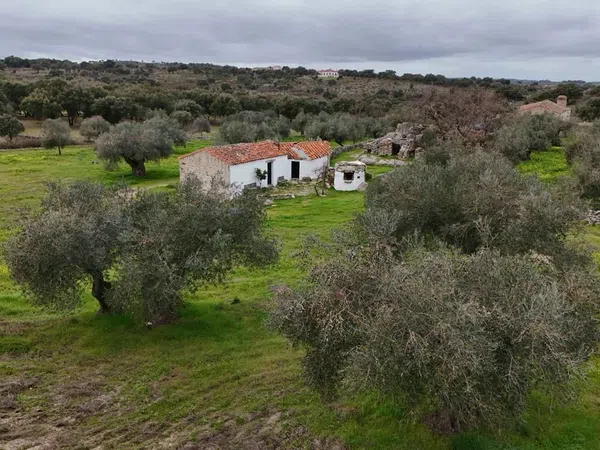 Finca rústica en Via Sin Nombre s/n - Foto 2