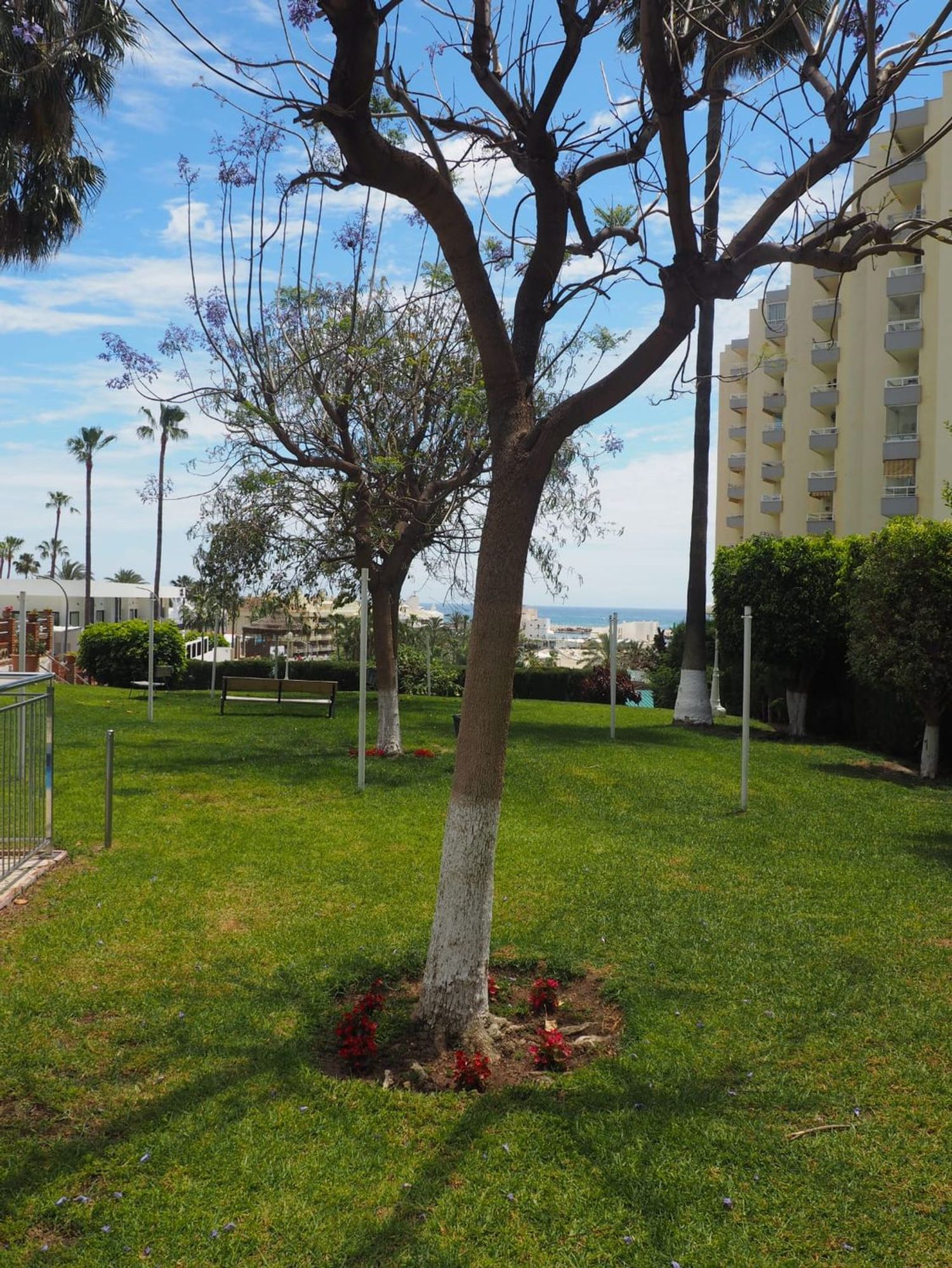 Piso en Calle Tamarindos, 3, Solymar - Puerto Marina, Solymar - Puerto Marina - Foto 19