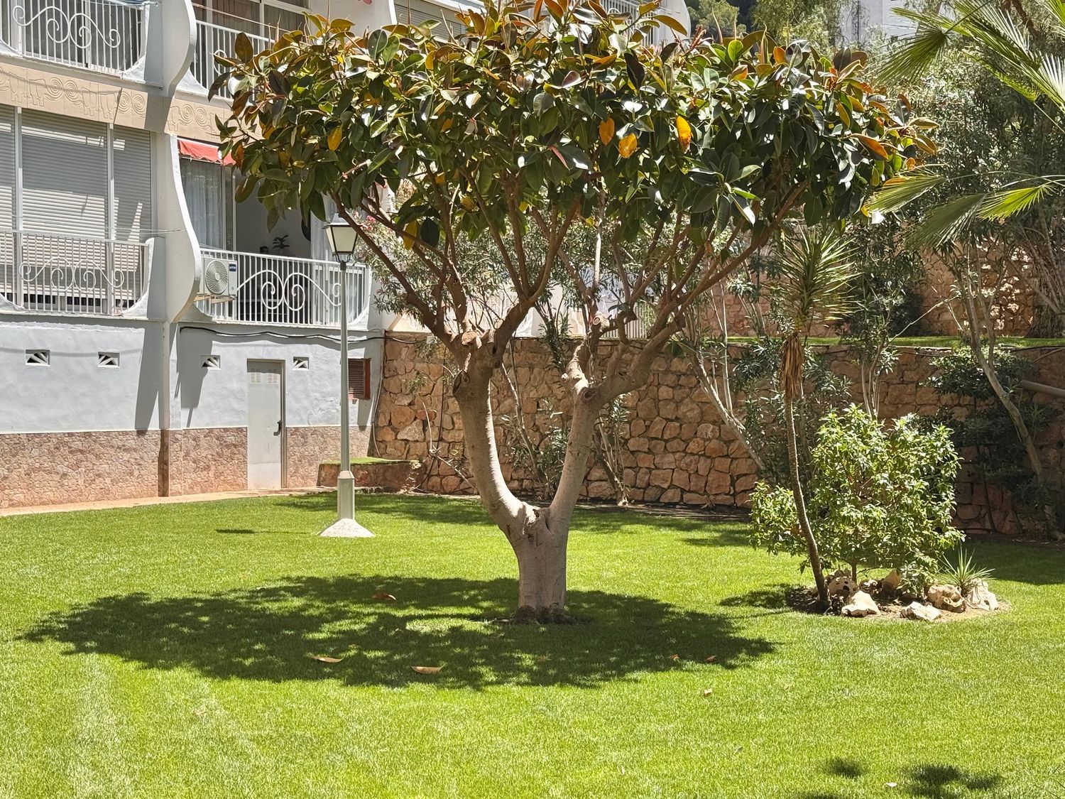 Piso en Avenida de Montecarlo, 14, Zona Sierra Helada - Foto 19