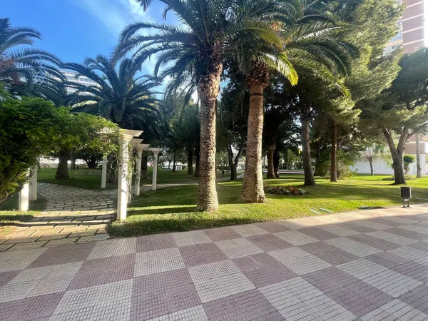 Piso en avenida de la Costa Blanca, 117 - Foto 23