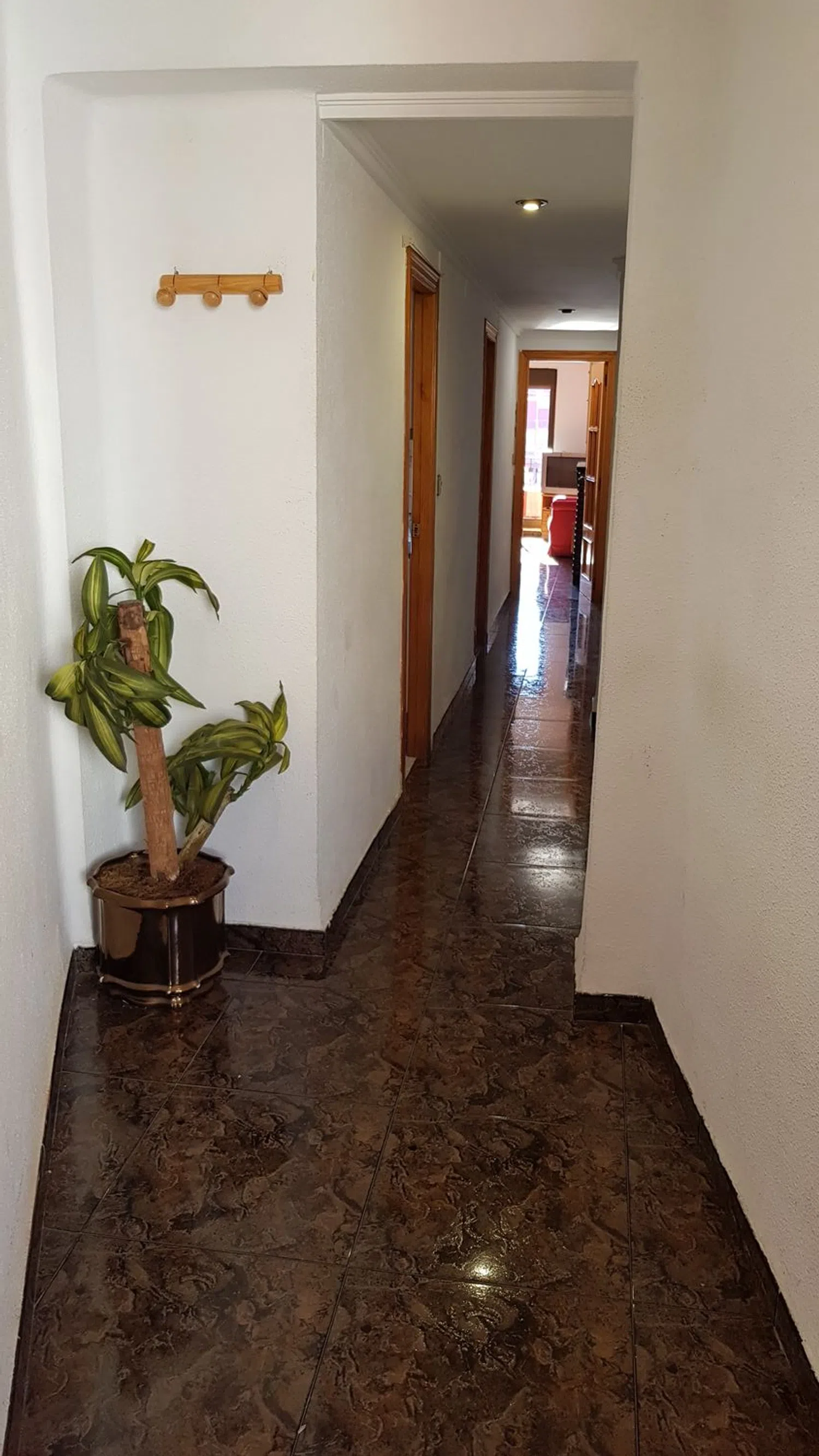 Piso en calle de Mariano Ribera, 10 - Foto 1