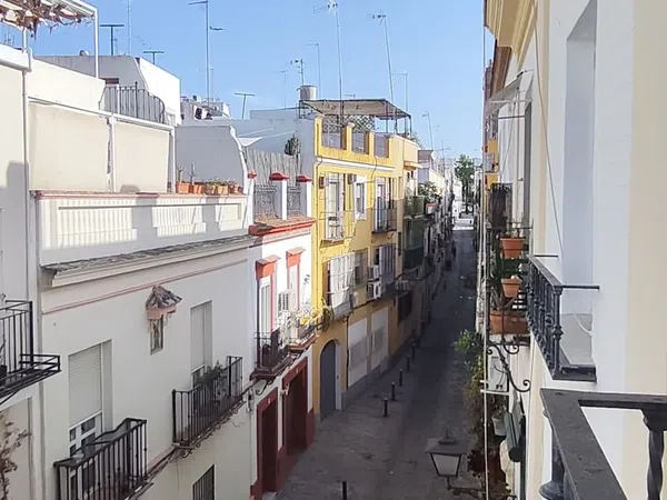 Estudio en Calle Pacheco y Núñez de Prado, 22 - Foto 16