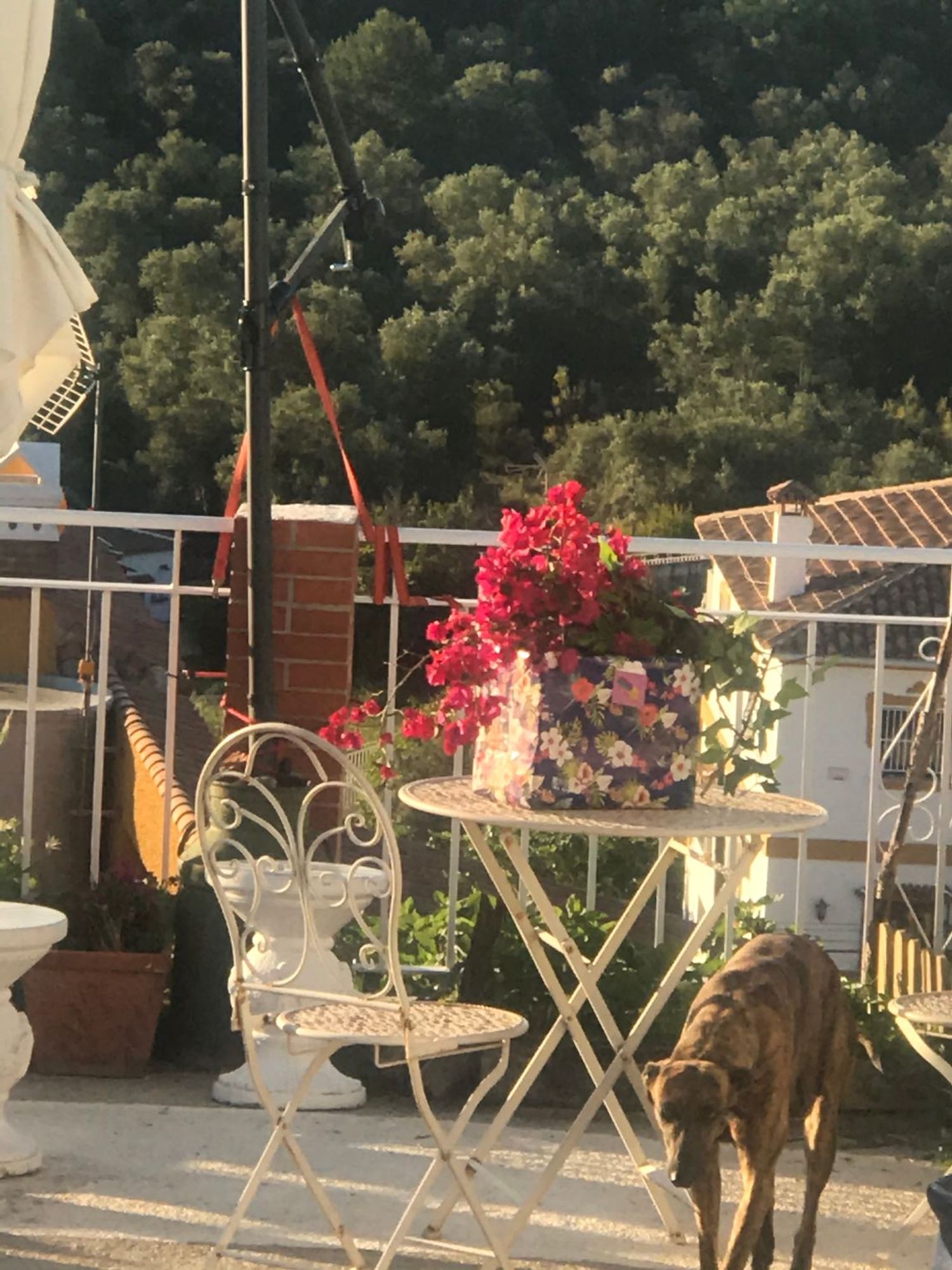 Casa rural en Pasaje de la Sierra, 10, Cortijo de Maza-Finca Monsalvez-El Olivar - Foto 2