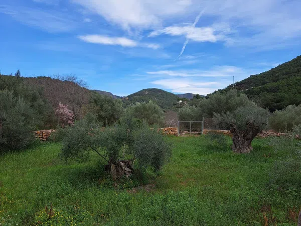 Casa rural en Camino Matilde polígono 9, 24 Parcela 24 - Foto 12