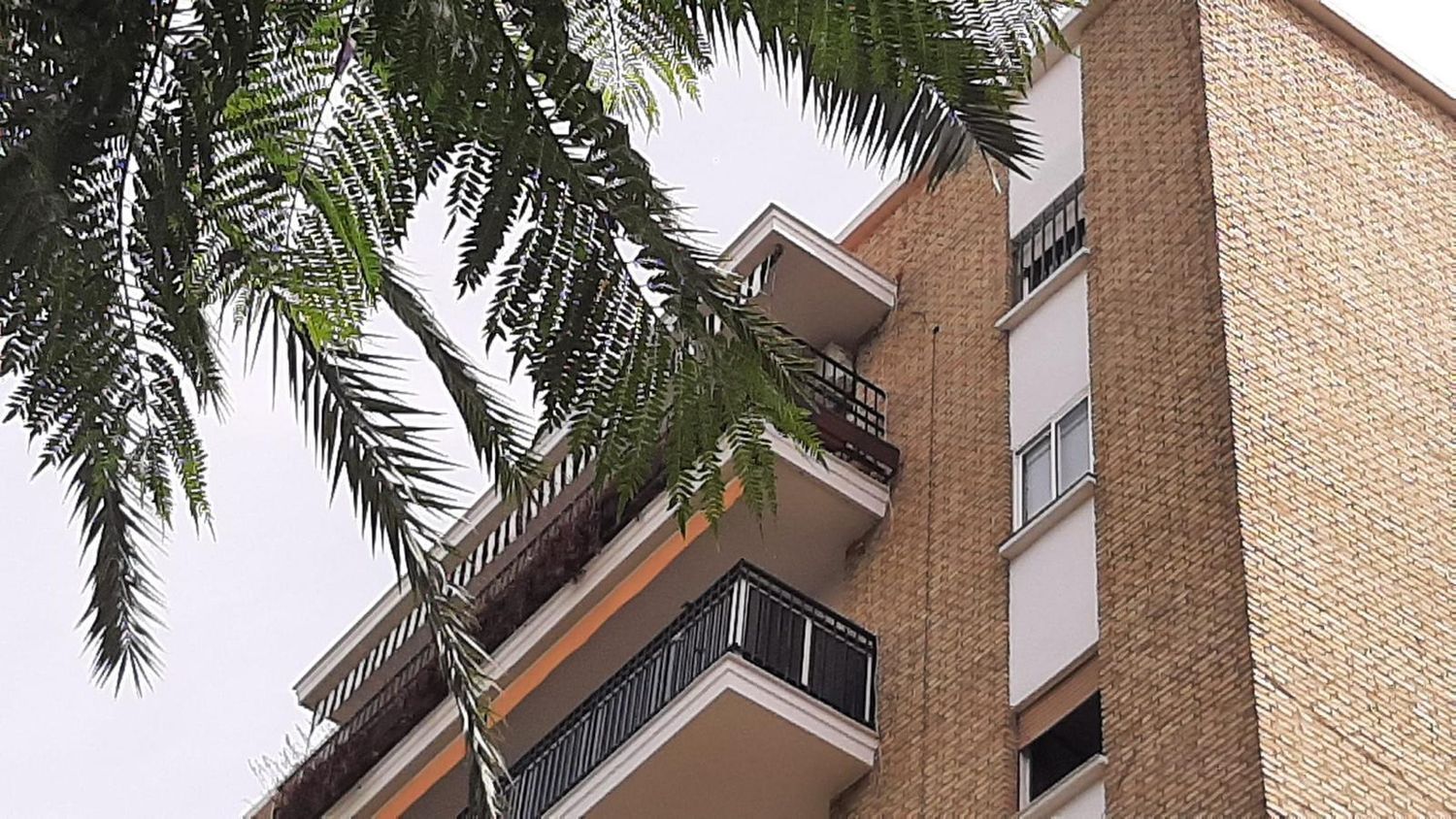 Piso en plaza Pintor Amalio García del Moral, 9 - Foto 21