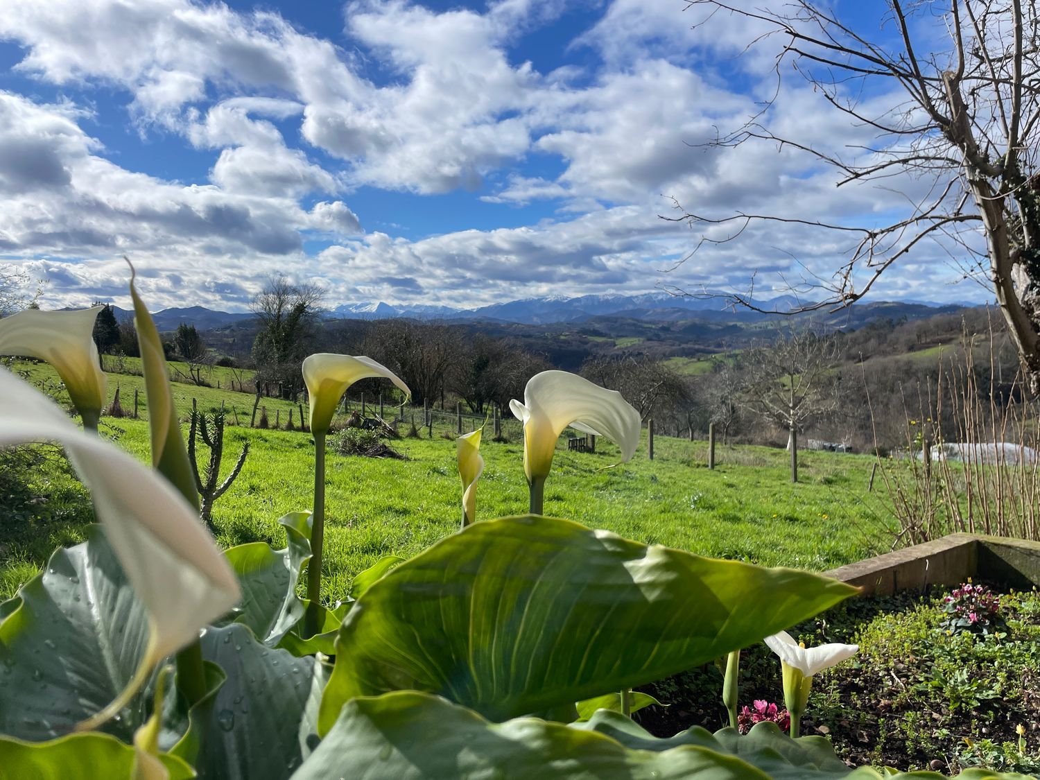 Casa de pueblo en Aldea Castiello, 57 - Foto 33