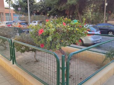 Local comercial en Alicante / Alacant - Foto 4