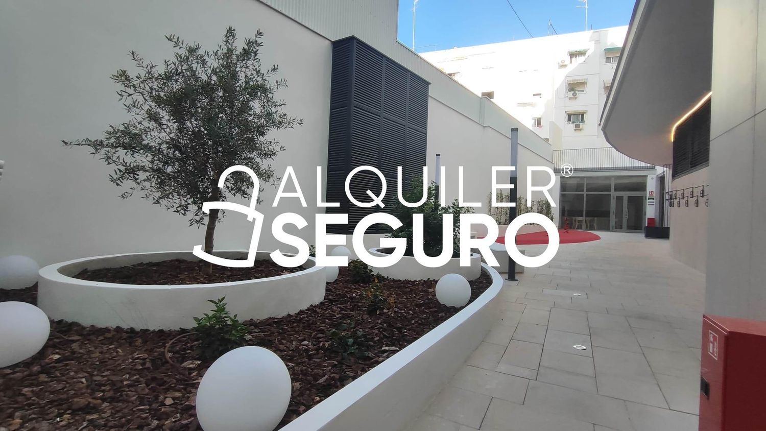 Piso en Calle d'Agustín Lara, Els Orriols - Foto 12