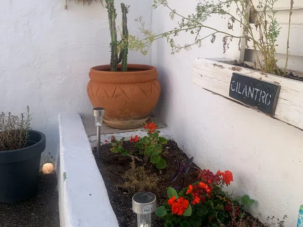 Chalet adosado en Urbanización el Palmeral s/n - Foto 8